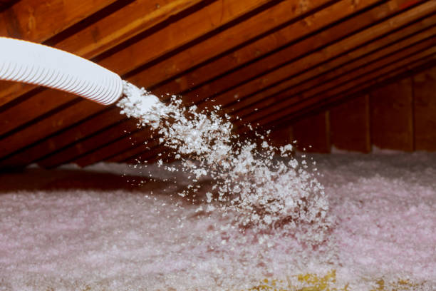 Best Insulation Air Sealing  in Washington, DC